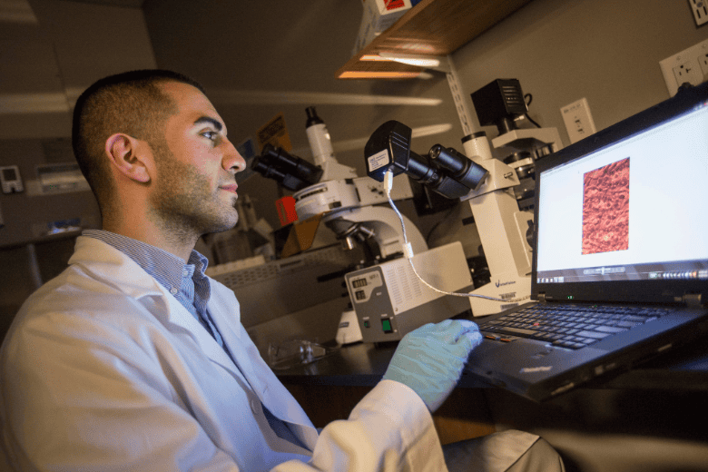 Biomedical Engineering